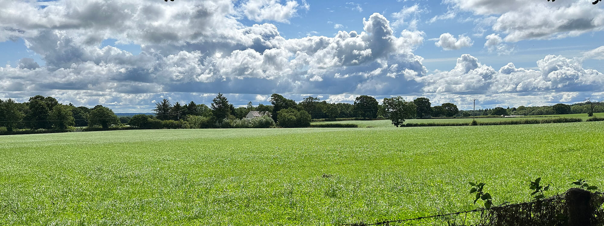 Idyllic Eyton countryside